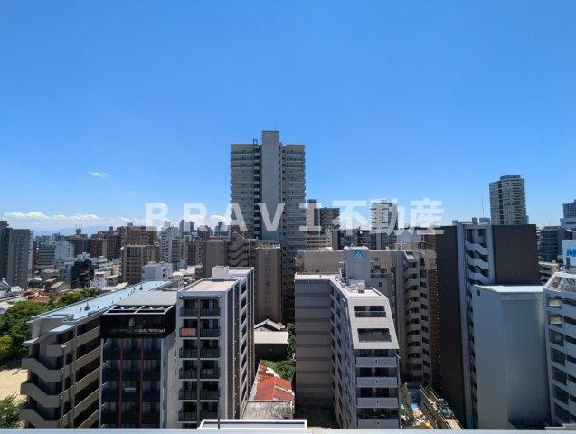 グランアッシュ谷町サウスヒルズ BRAVI不動産の展望