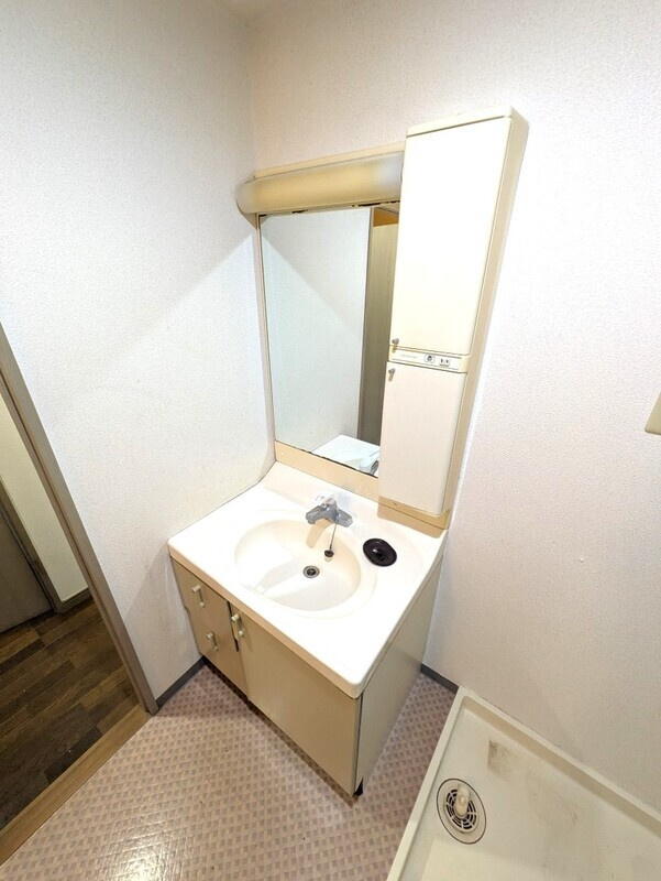 エクセル稲田の独立洗面台