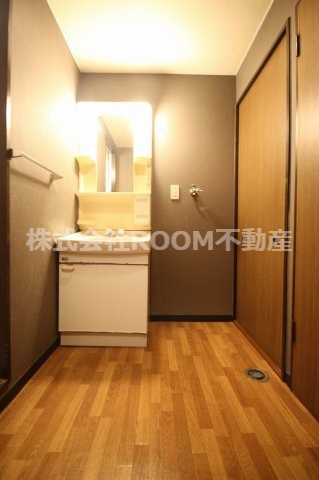 メゾンド都原の洗面所