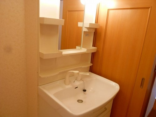 アメニティ・アミノウチＡの洗面所