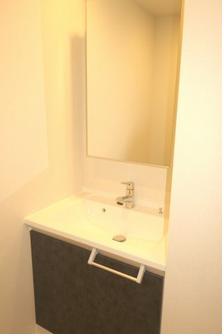 RJRプレシア東十条ガーデンの洗面所