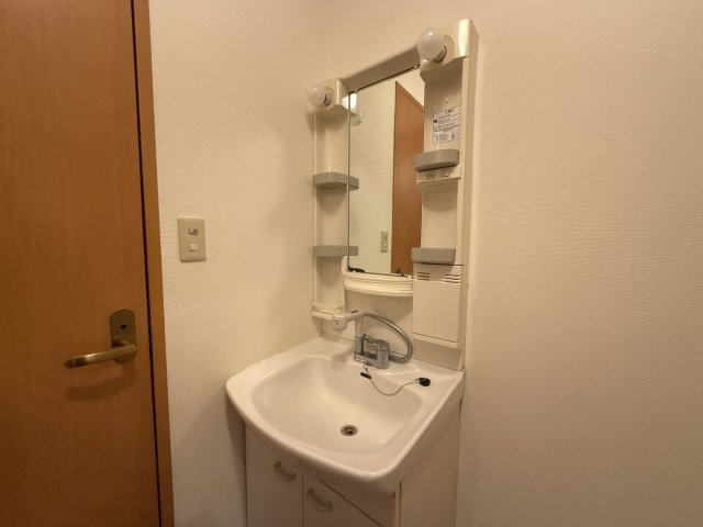 ブルーベリーファームの洗面所