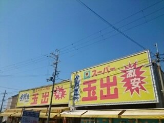 【周辺】 | ヌーヴォー池上 | スーパー玉出様まで530m