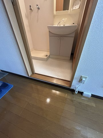 リバティウインズの洗面所