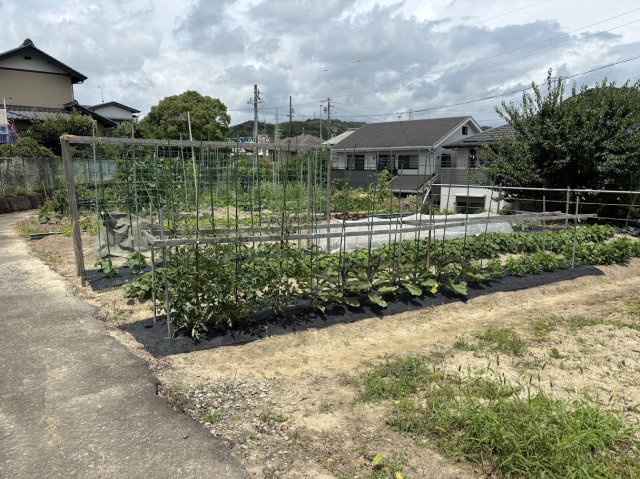 【外観】の画像