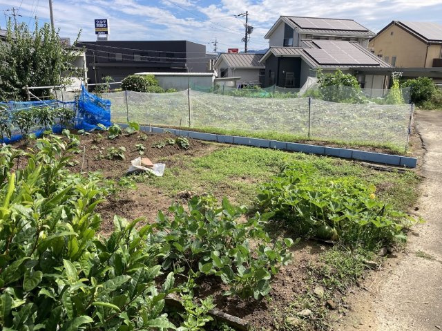 【外観】の画像