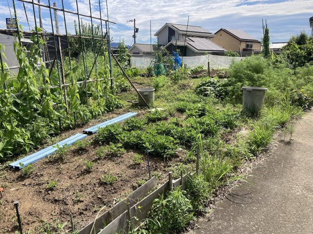 【外観】の画像