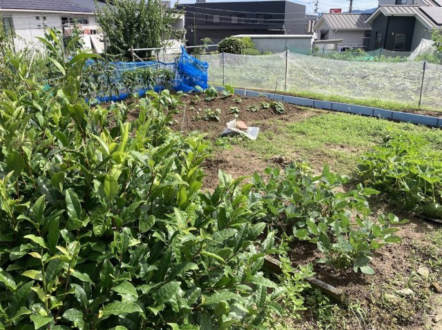 【外観】の画像