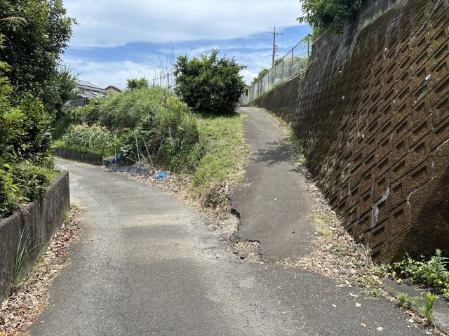【前面道路含む現地写真】の画像