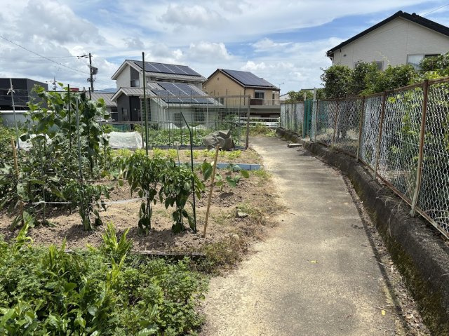 【前面道路含む現地写真】の画像
