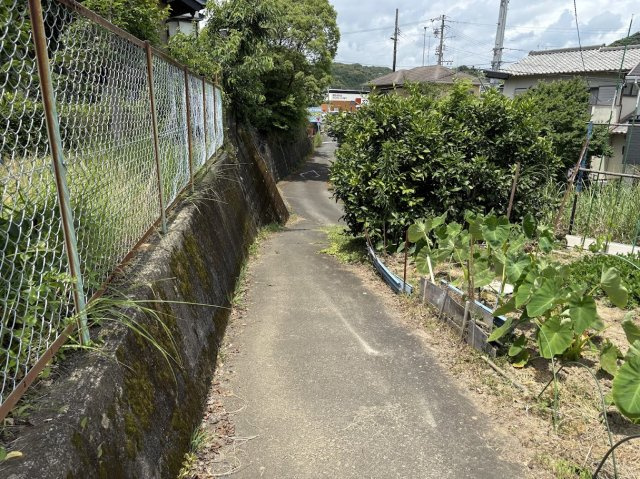 【前面道路含む現地写真】の画像