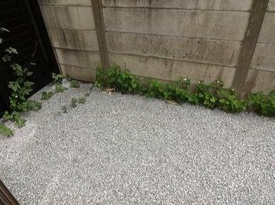 【庭】 | ディアコート石神井台