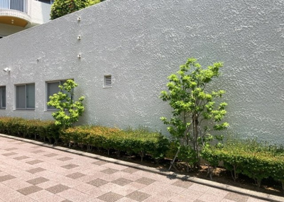 【中庭】 | 八王子セントラルマンション | 中庭（パティオ）とは、一つの建築物の内部に設けられた、壁などで囲われている庭のことを指します。コの字型、ロの字型が主流ですが、L字型の中庭もあります。最近では、インテリア性の高さからも人気があります。