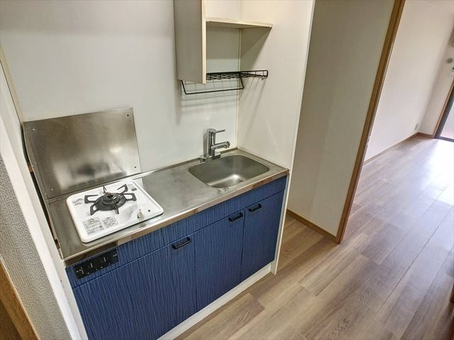 パピルスIIIのキッチン