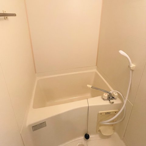 ラフィネスシャトードゥ赤坂の浴室