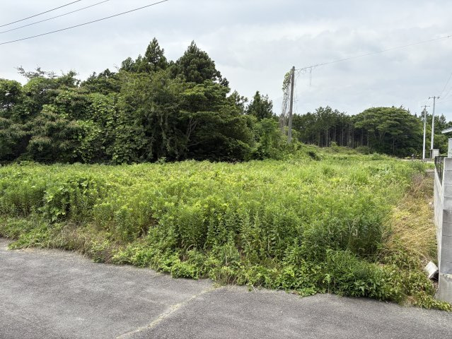 双葉郡富岡町大字仏浜字西原 売土地の外観