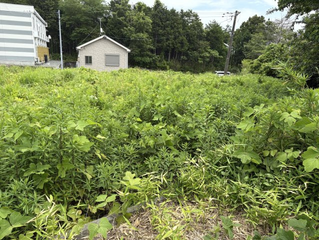 双葉郡富岡町大字仏浜字西原 売土地の外観