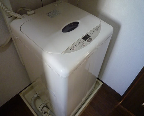 ホワイトSKJのその他