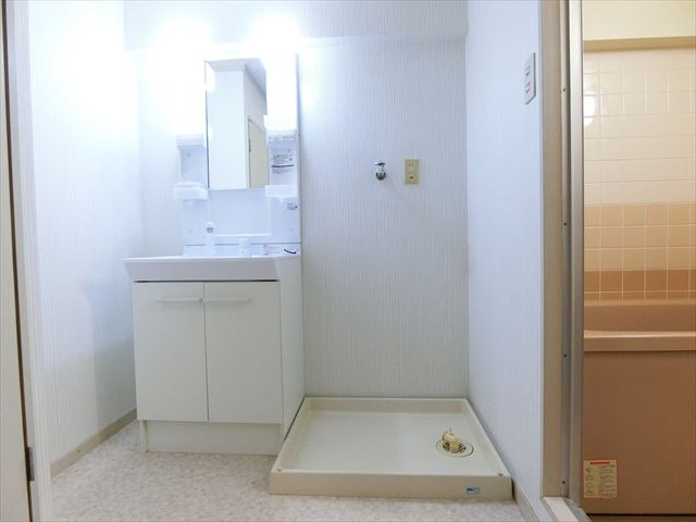 パレシャルム薬院の洗面所
