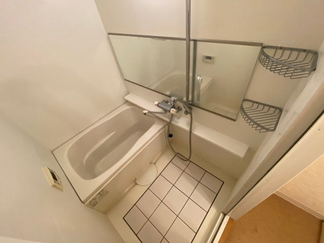 アレクサスラ・ストラーダの浴室