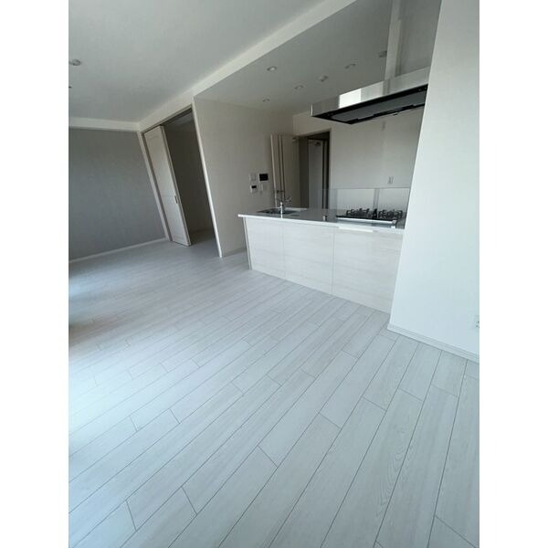 さくらHills ROKUBAN Platinum Residenceの居間・リビング|ゆったりとしたリビングです