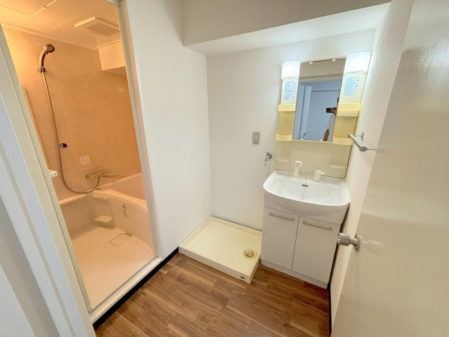 ビスタ相川の洗面所