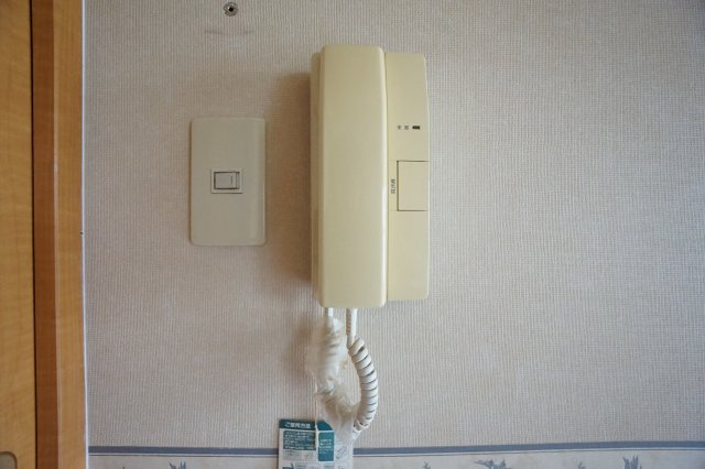 セントラルフェイスのセキュリティ