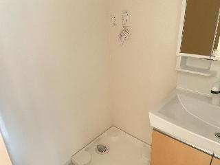 【その他】 | Forest cape