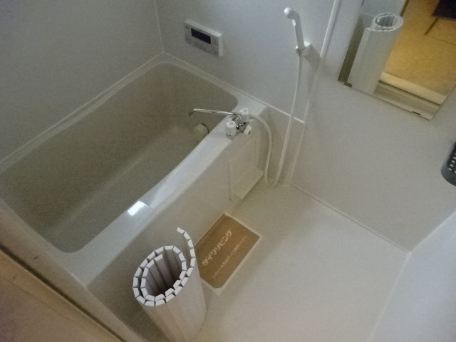 リーフデの浴室