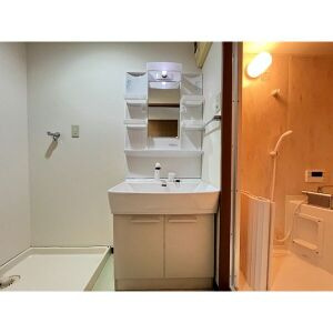 ハイツ大牧の洗面所