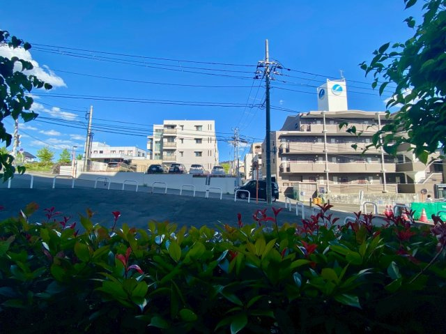 ヴィルヌーブ台原・並木通りの展望