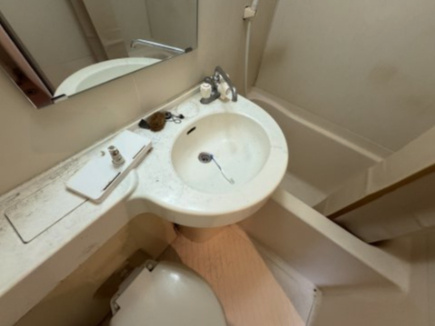 シャトー柴原の洗面所