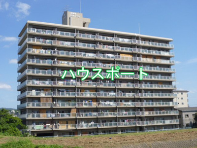 【外観】 | 丹波橋日光ハイツ | 総戸数115戸