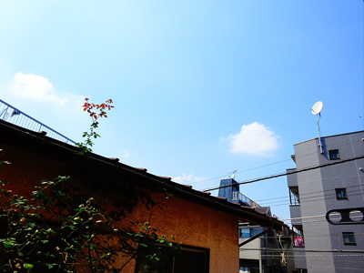 【展望】 | AUN浜田山