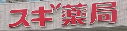 ＷＩＮＧ高尾の周辺|スギ薬局江東橋南店まで749m 