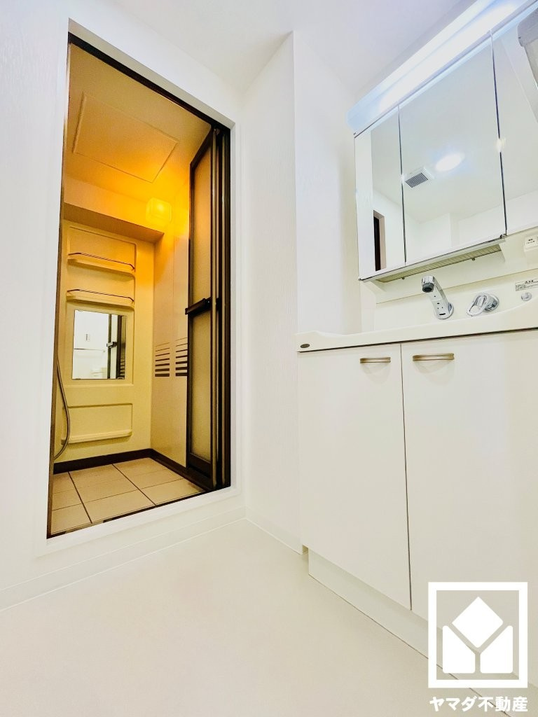 丹波橋日光ハイツの洗面所