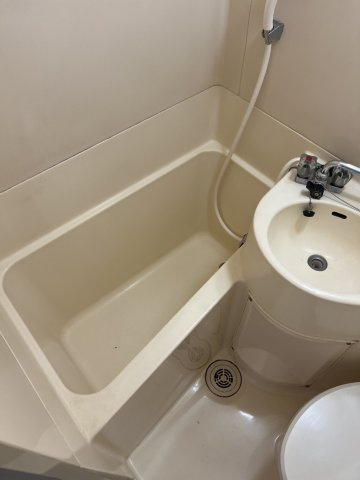 プラザ・ドゥ・モーリスC棟の浴室