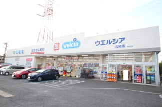 ウェルシア北柏店まで700ｍ