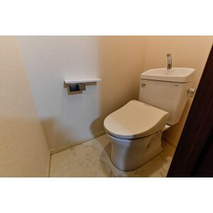 アベニューイズミのトイレ