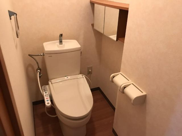 ベリーウェルＡ棟のトイレ|シャワー付トイレ