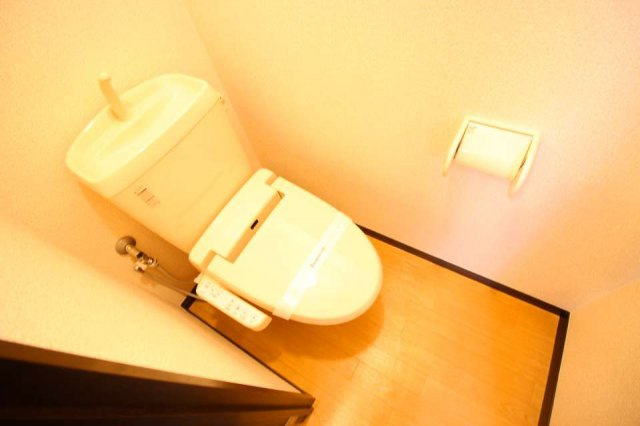 レオネクストヴォラーレのその他