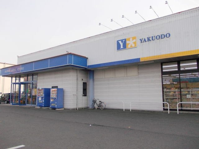 ドリームフェアⅡの周辺|薬王堂まで405m