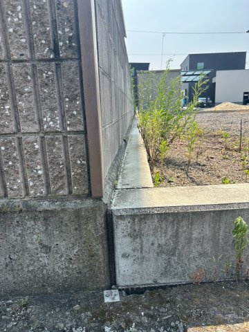 ウィンディーストリート高田　全7区画（残1区画）の外観|【外観】