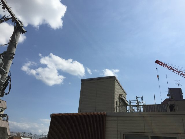 キングスガーデンの展望