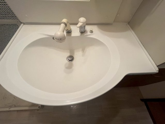 グランソレイユ日本橋の洗面所