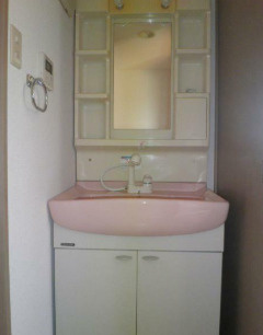 ガラ・シティ高井戸の洗面所