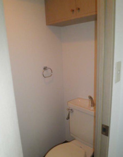 ガラ・シティ高井戸のトイレ