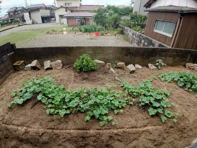 【庭】 | 敷地内にお庭がございます。