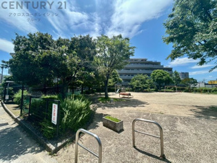 目の前が公園でお育て環境良好です。