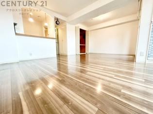 充実の収納（洋室のWIC・LDKの大型収納・トイレの棚）